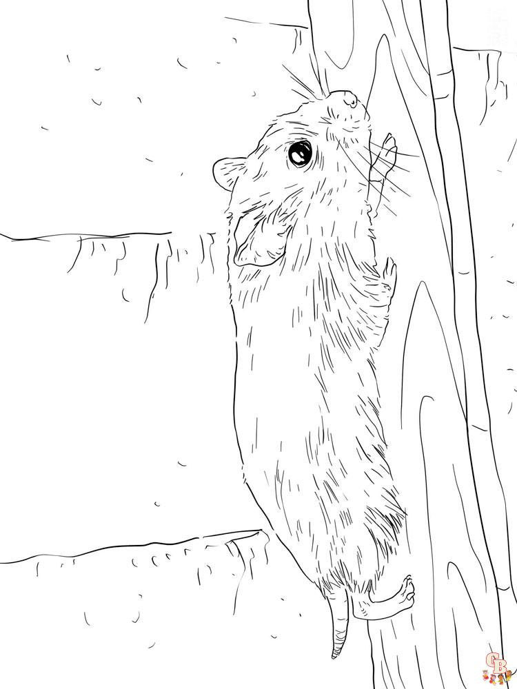 Coloriage hamster