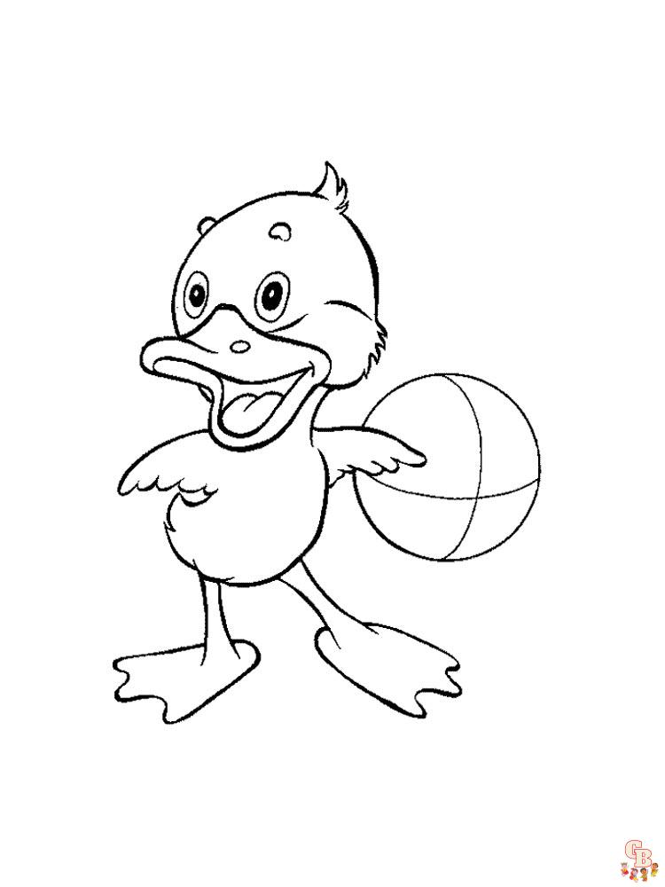duck coloring