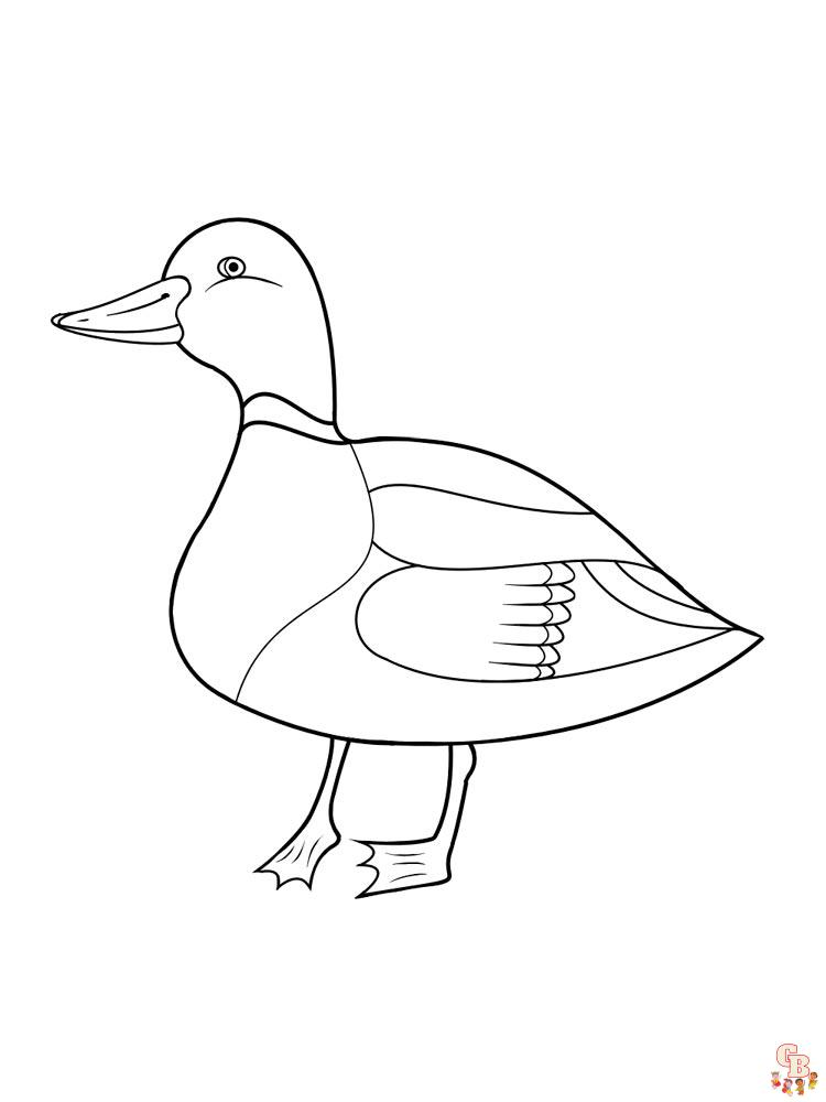 coloriage canard