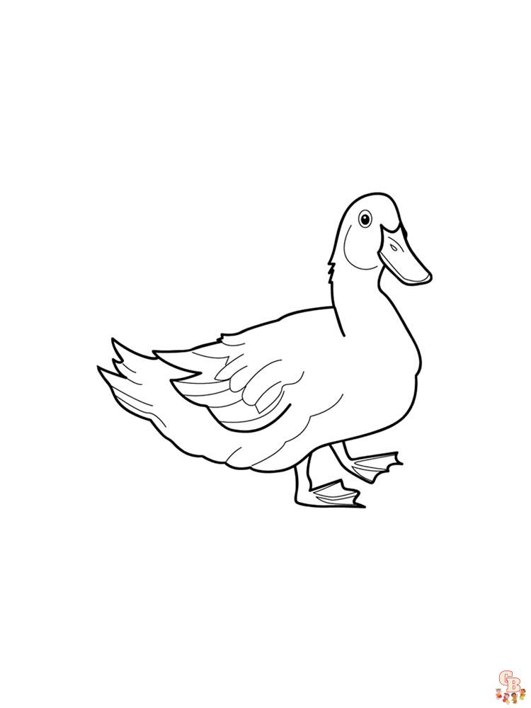 coloriage canard