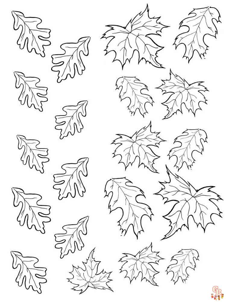 coloriage feuilles
