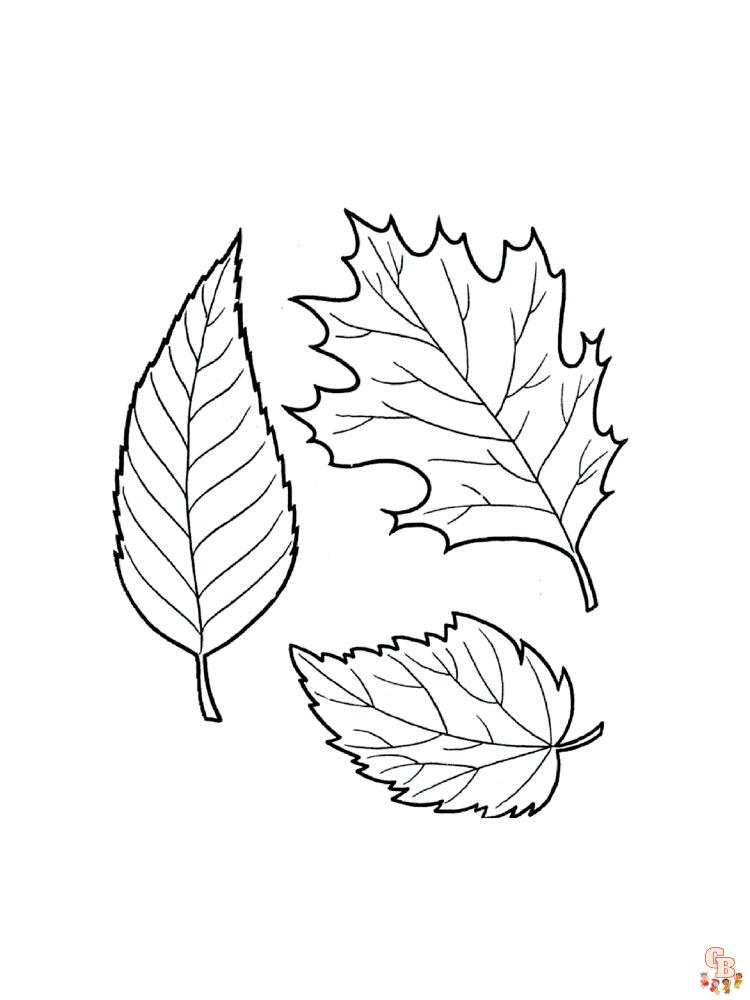 coloriage feuilles