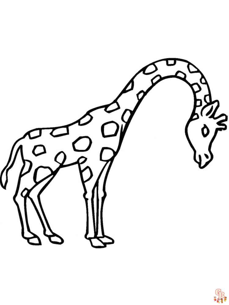 coloriage girafe