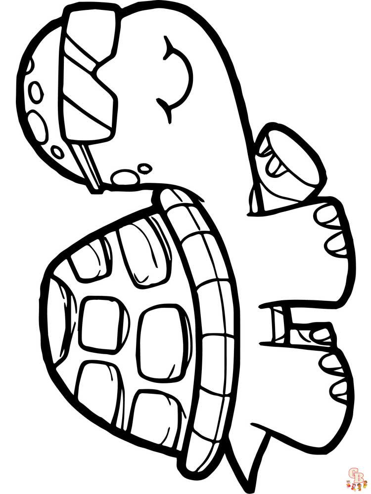 coloriage tortues