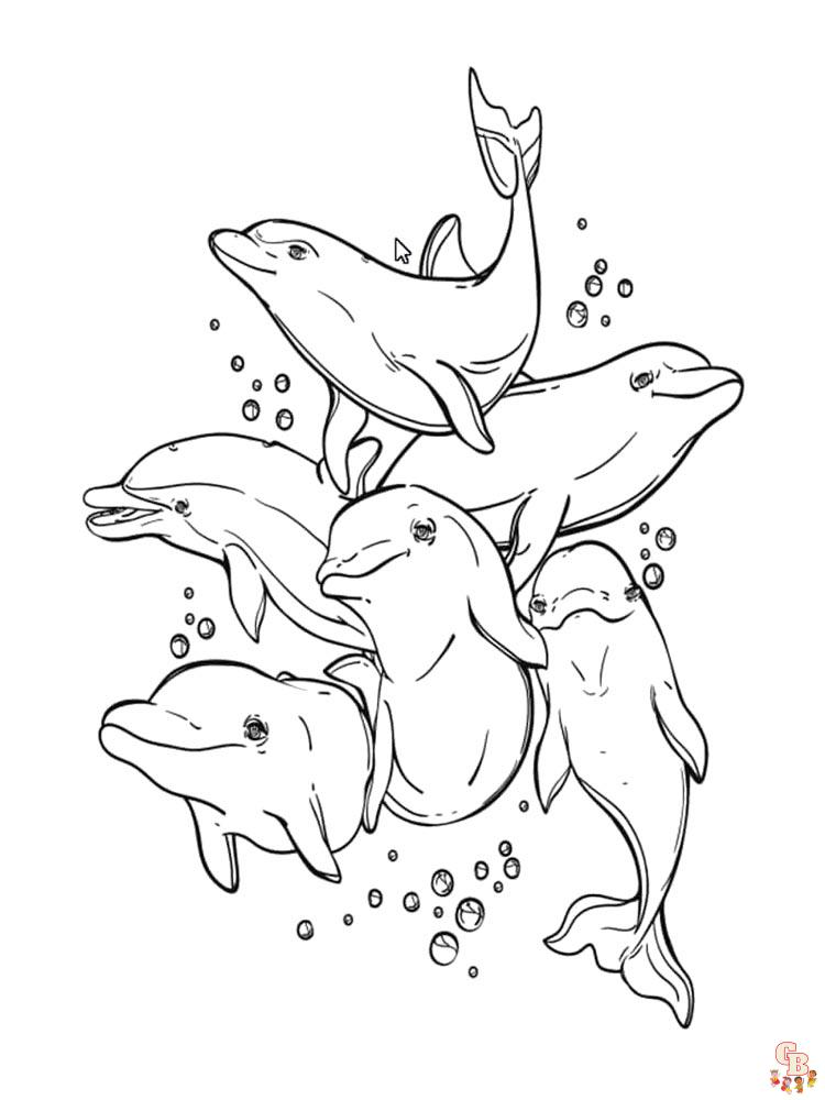 dauphins coloriage