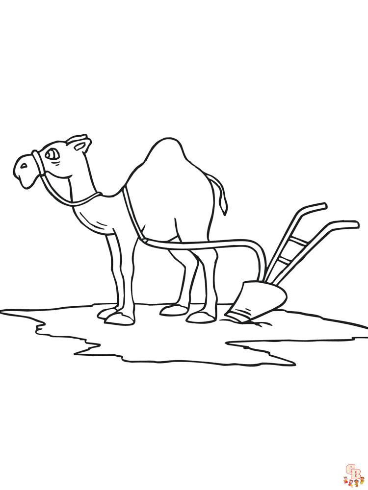 Coloriage chameaux