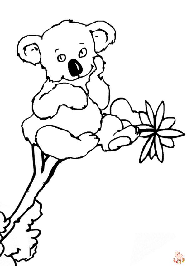 coloriage Koala