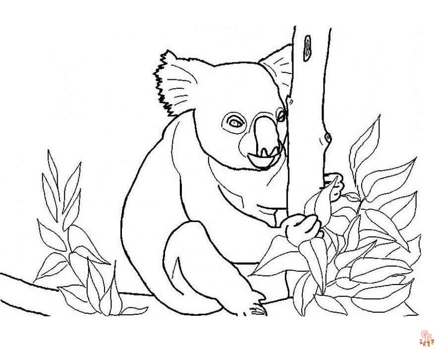 coloriage Koala