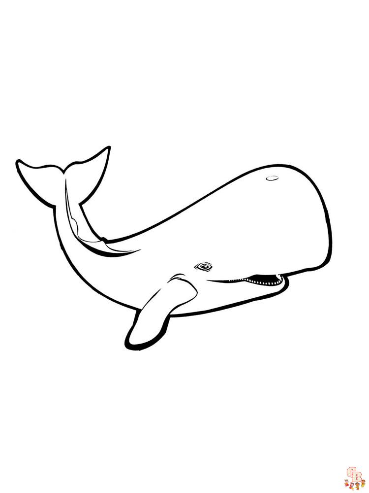 coloriage baleines