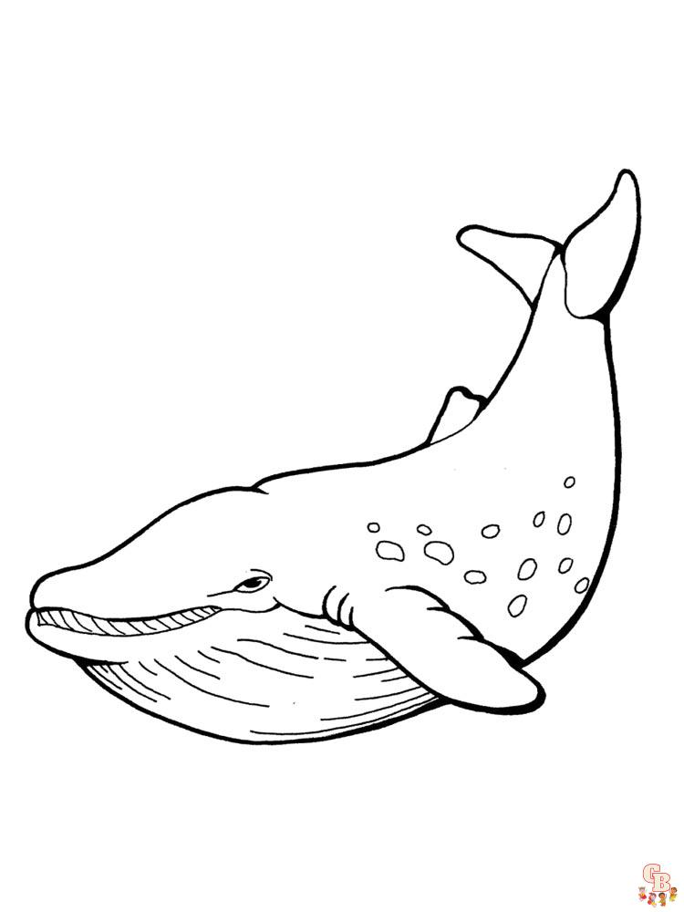 coloriage baleines