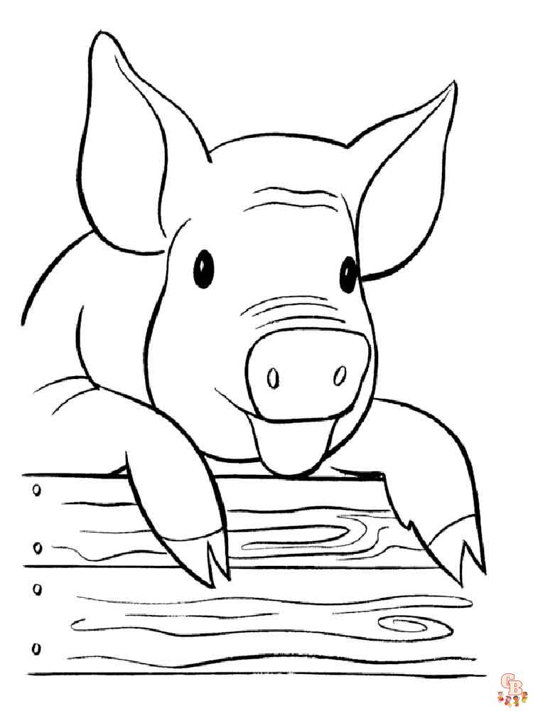 coloriage cochon