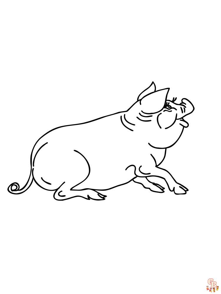 coloriage cochon