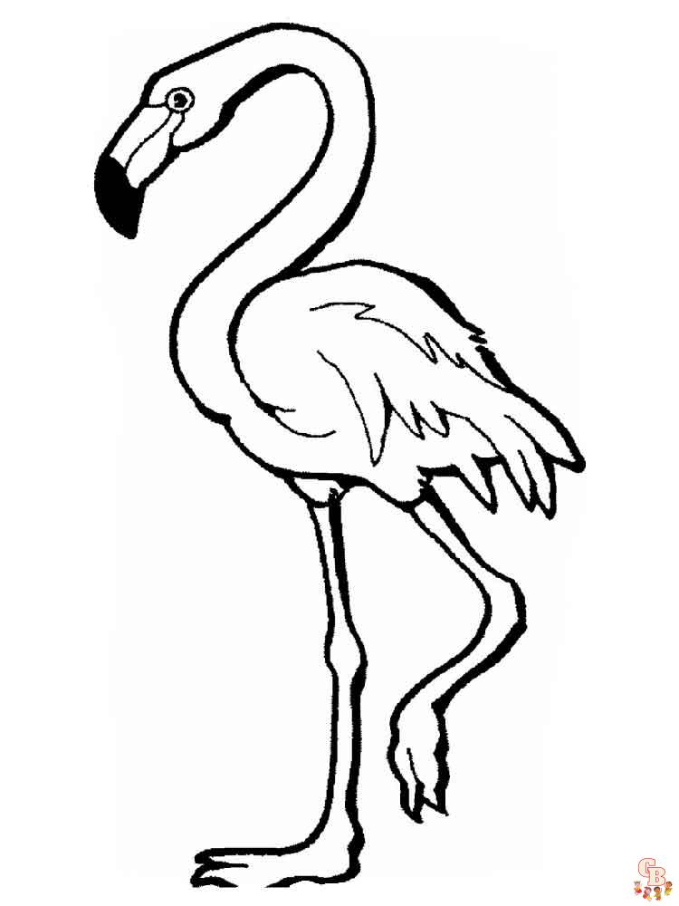 Flamingo-Malseite