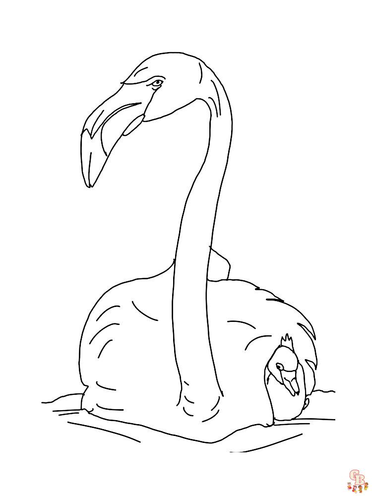 Flamingo-Malseite