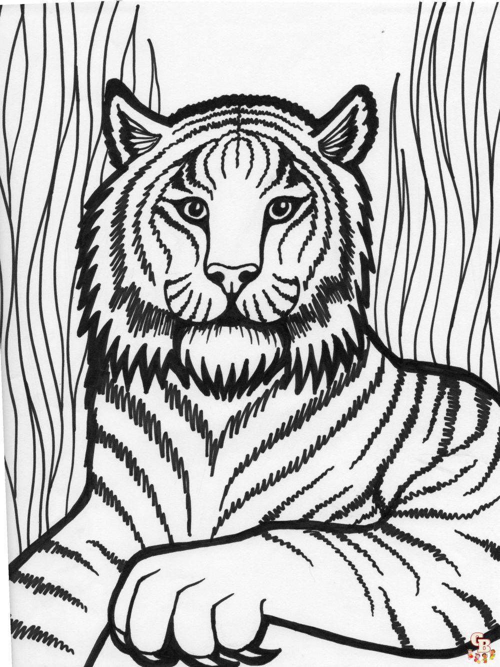coloriage tigres