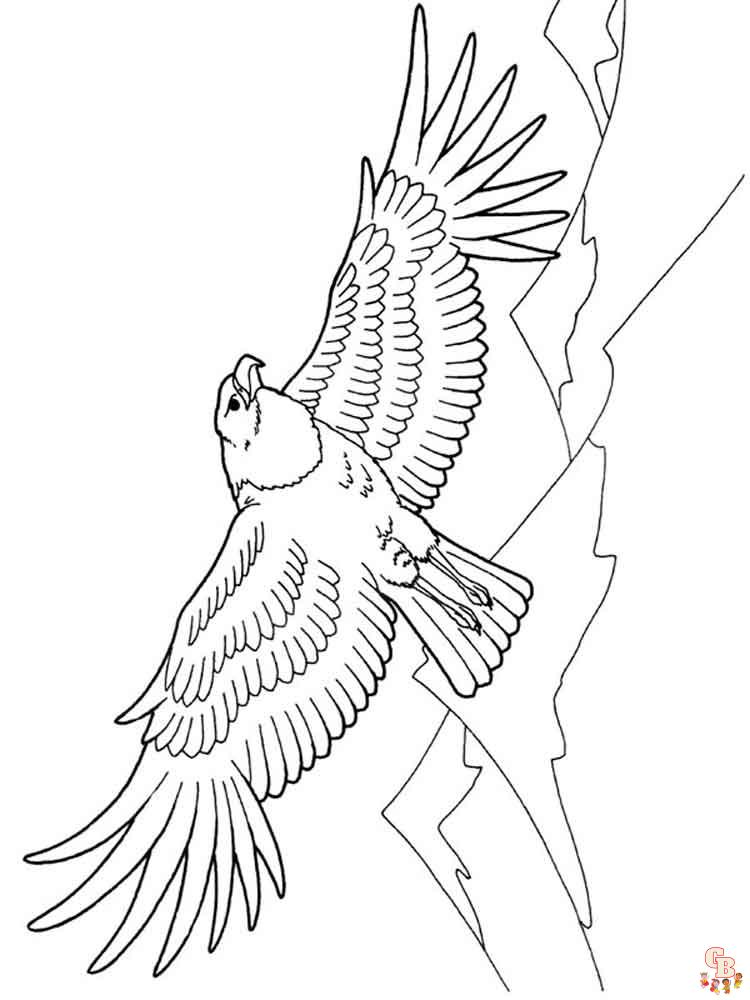 Planșă de colorat vultur