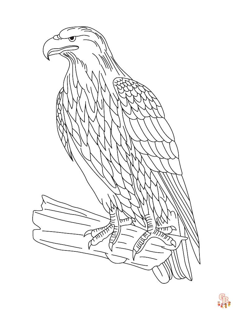 Dibujo de Águila para colorear