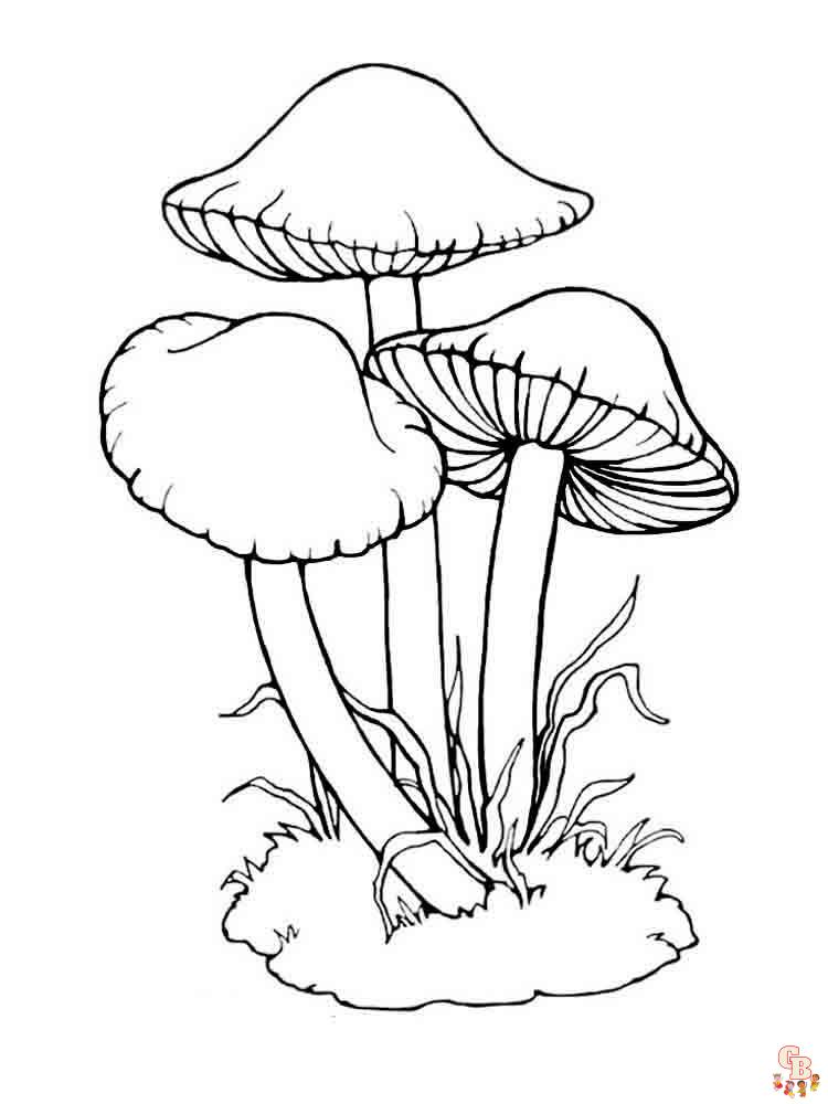 Pagina da colorare di funghi