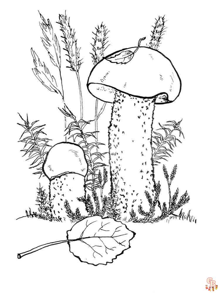 Pagina da colorare di funghi