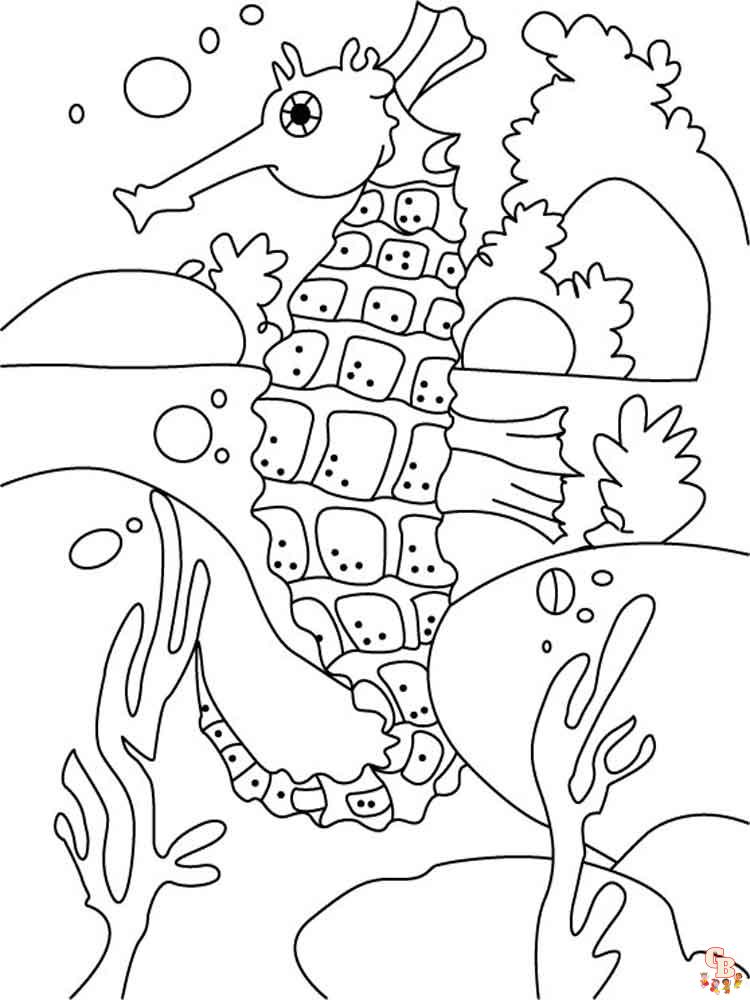 Kleurplaat zeepaardje