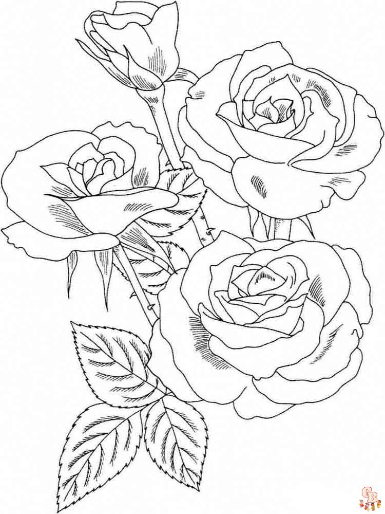 Coloriage rose