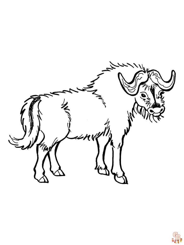 Dibujo de Búfalo para colorear