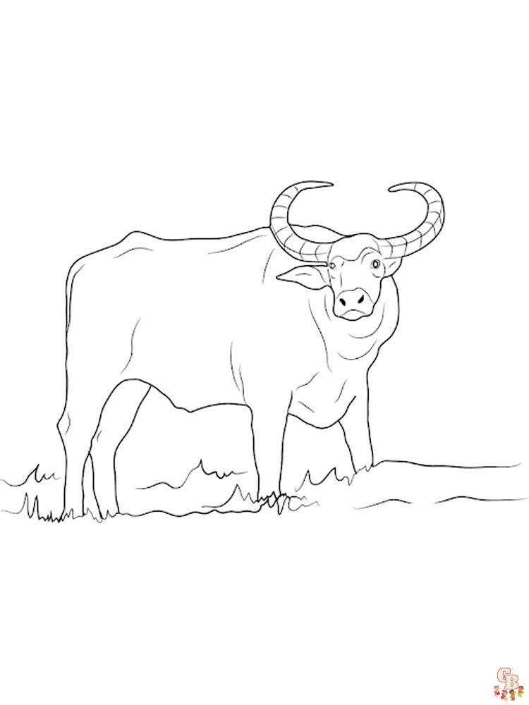 Desenho de Búfalo para colorir