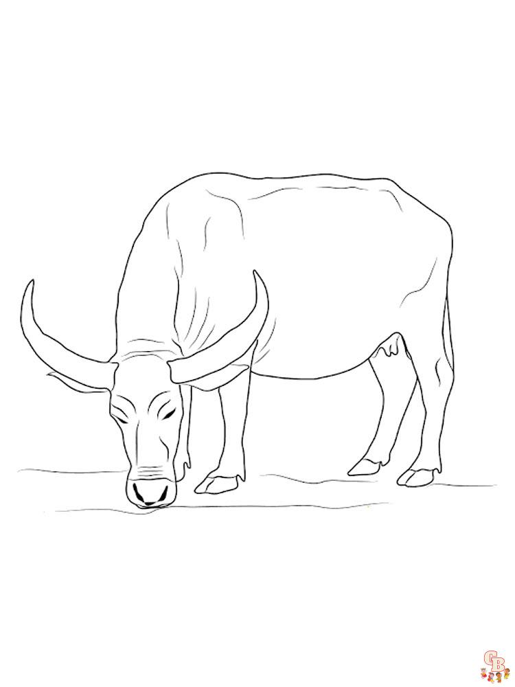 Buffel kleurplaat
