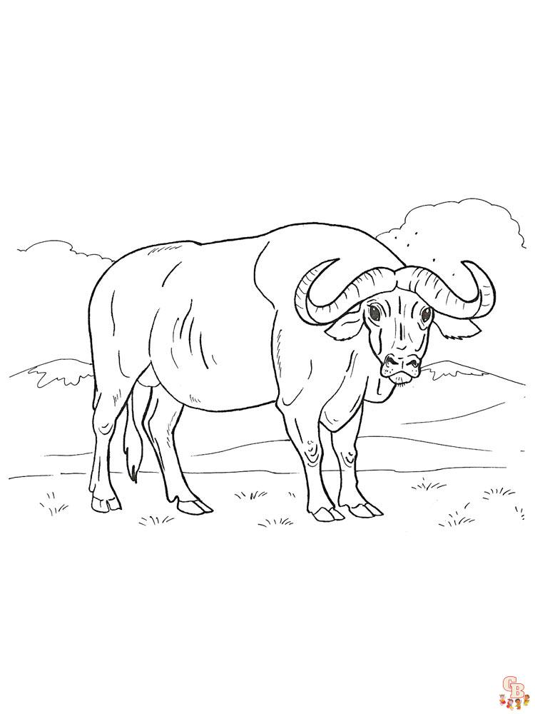 Pagina da colorare di bufalo