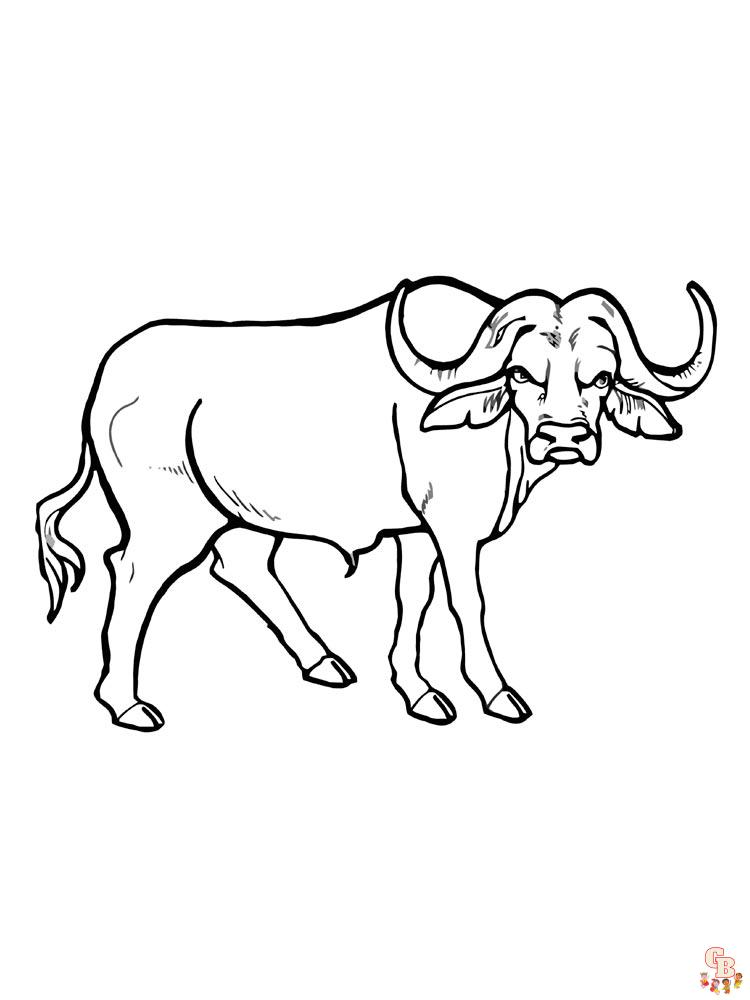 Pagina da colorare di bufalo