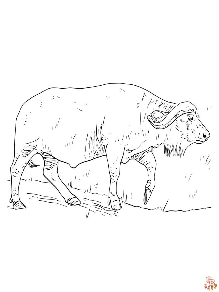 Desenho de Búfalo para colorir