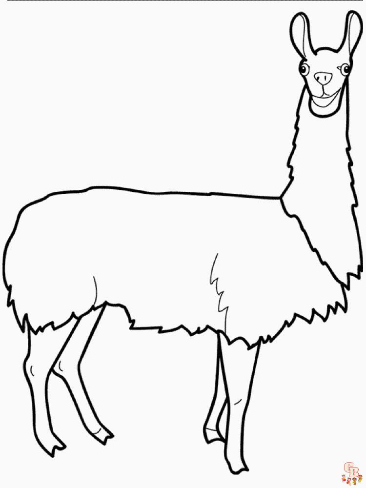 Kolorowanka Lama