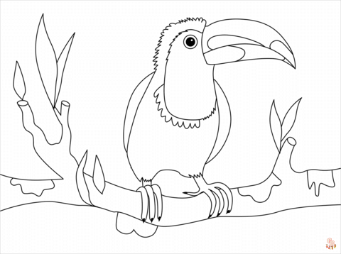 Coloriage Toucan