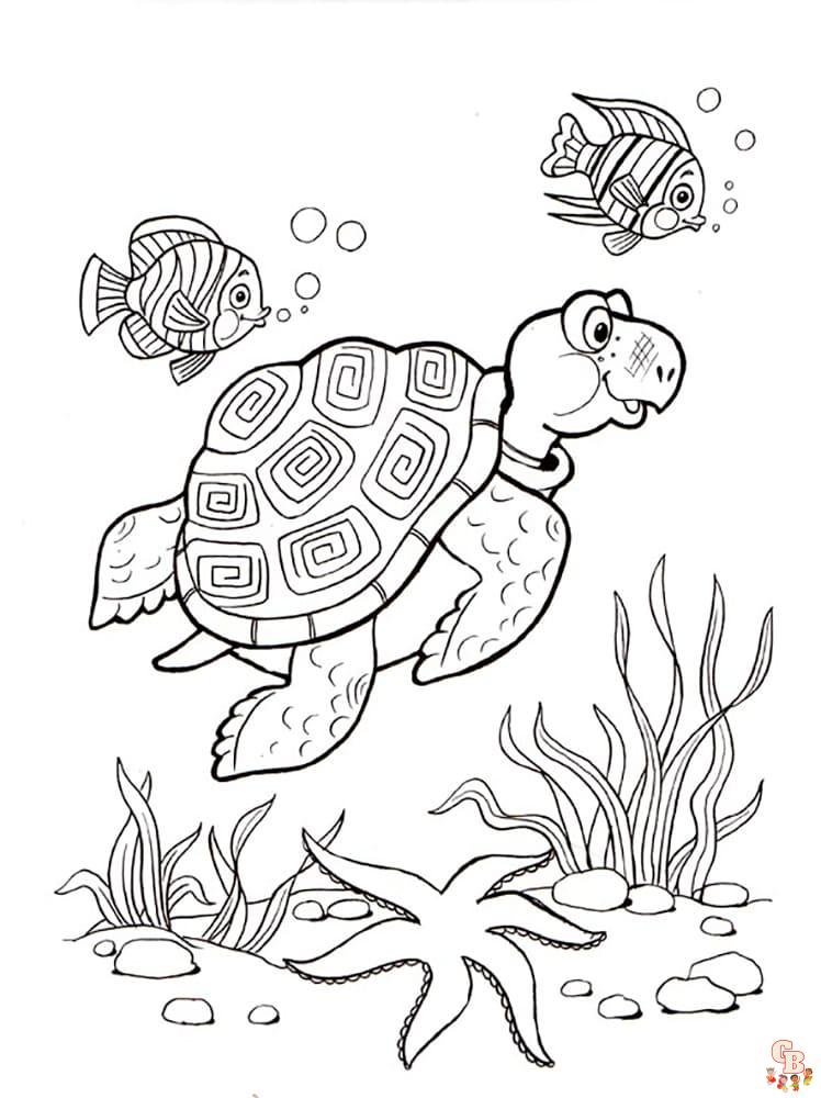 coloriage tortues