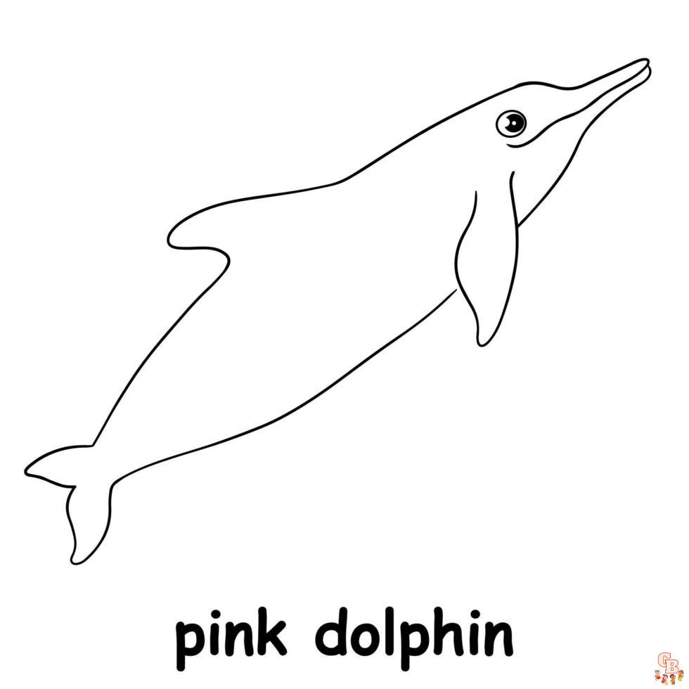 Modelli da colorare di delfini per bambini, adulti e online gratuiti