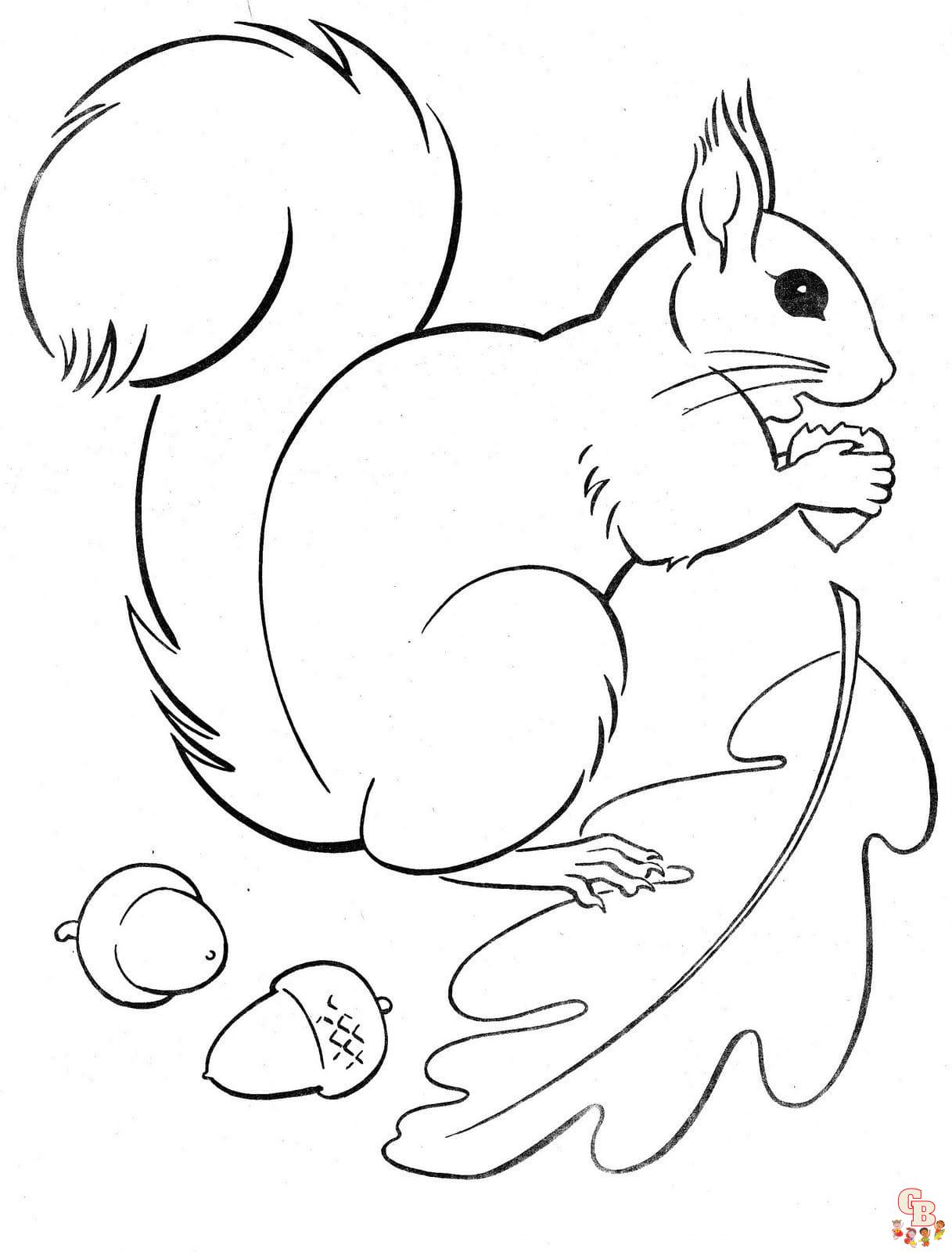 Coloriage écureuil en automne dessin d'écureuil à colorier pour enfants