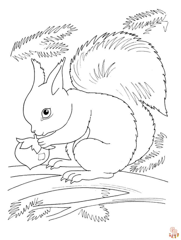 Coloriage écureuil en automne dessin d'écureuil à colorier pour enfants