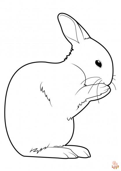 ぬりえウサギの漫画、イースター、リアル、ジャンプ、かわいい、花付き