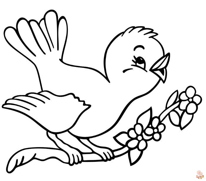 Coloriage oiseau Modèles réalistes, exotiques et mignons à colorier pour enfants