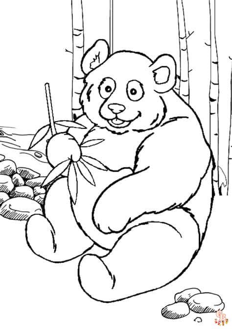 Découvrez les meilleurs coloriages de panda
