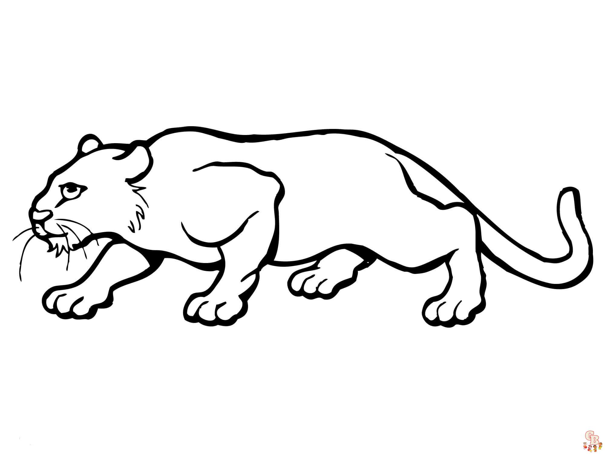 Desenho de Puma para colorir