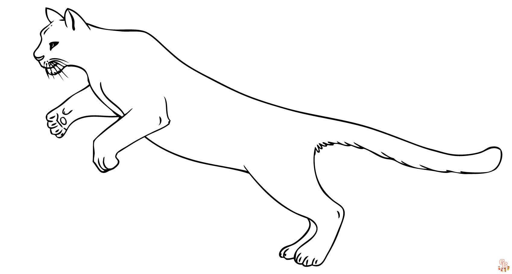 Desenho de Puma para colorir