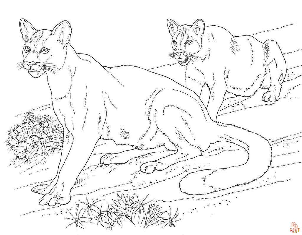 Puma coloring page