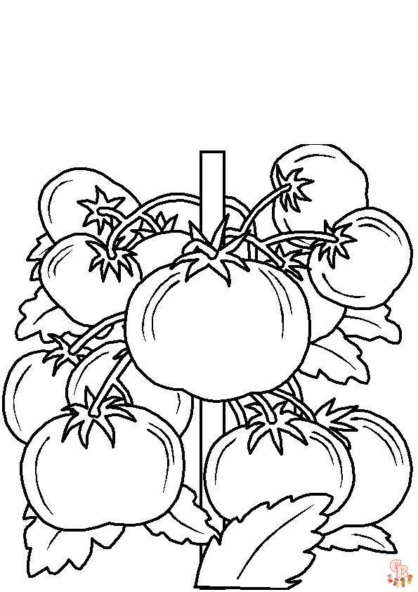 Coloriage Tomate