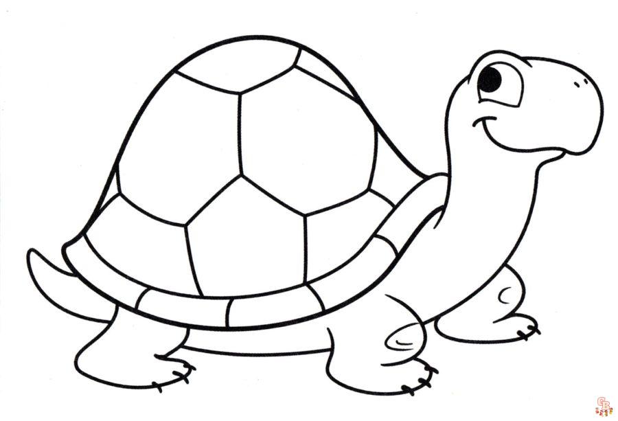 Coloriage Tortue