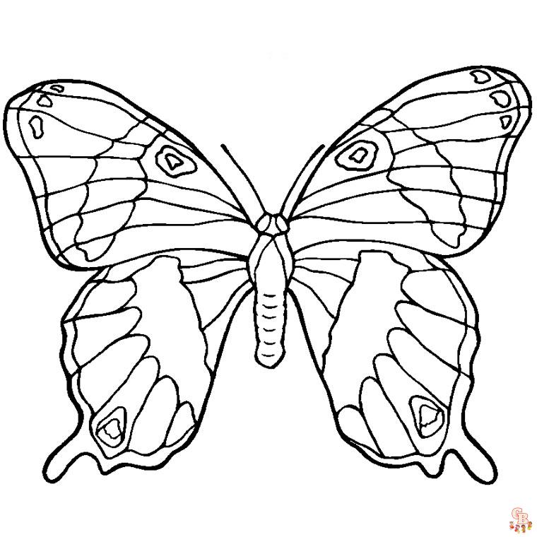 Coloriage Mandala papillon