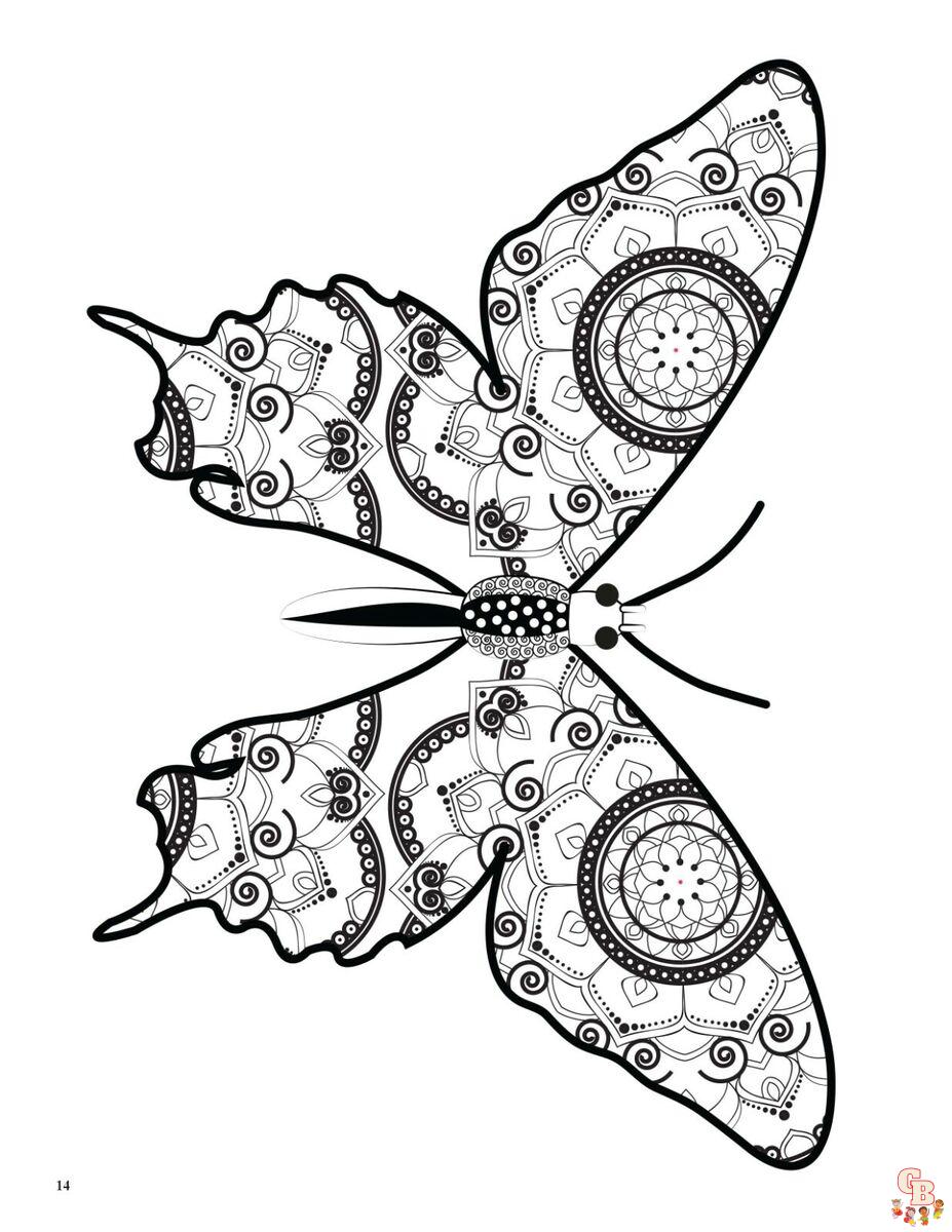 Coloriage Mandala papillon